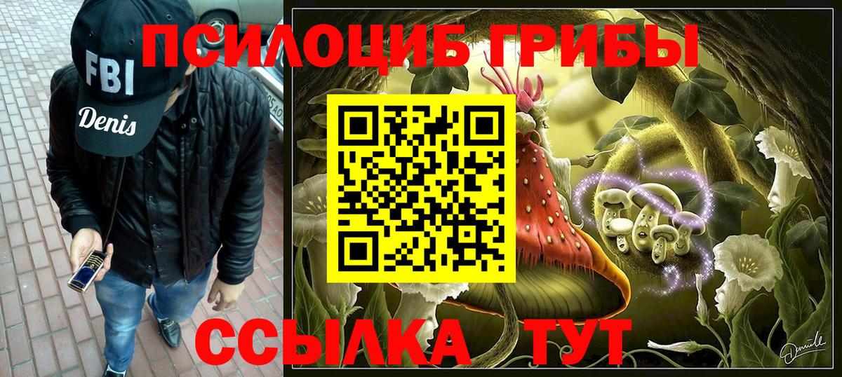 Псилоцибиновые грибы Psilocybe  Вход с VPN  купить закладку  Дивногорск 