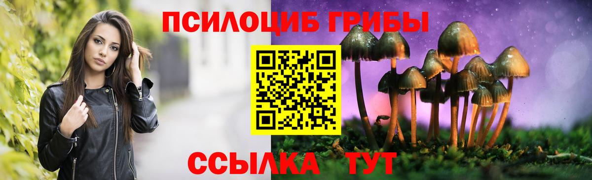 Псилоцибиновые грибы мицелий Дивногорск